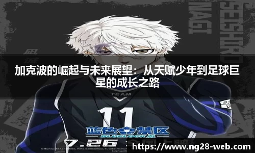 NG28登陆入口